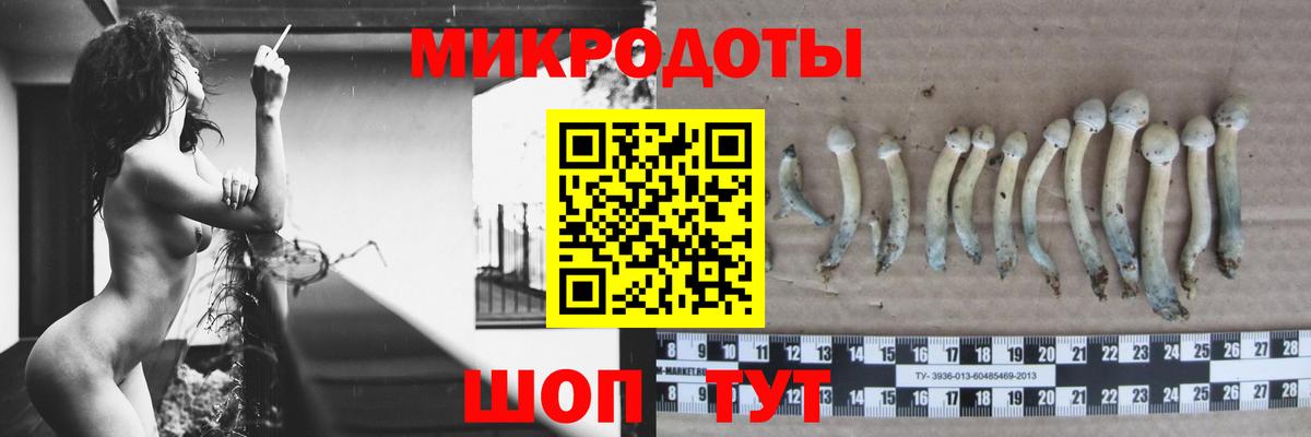 как найти закладки  Псилоцибиновые грибы GOLDEN TEACHER  Вход с VPN  Кирово-Чепецк  Псилоцибиновые грибы Cubensis 